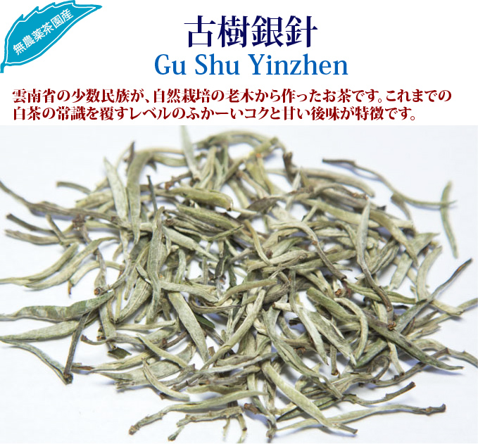 古樹銀針