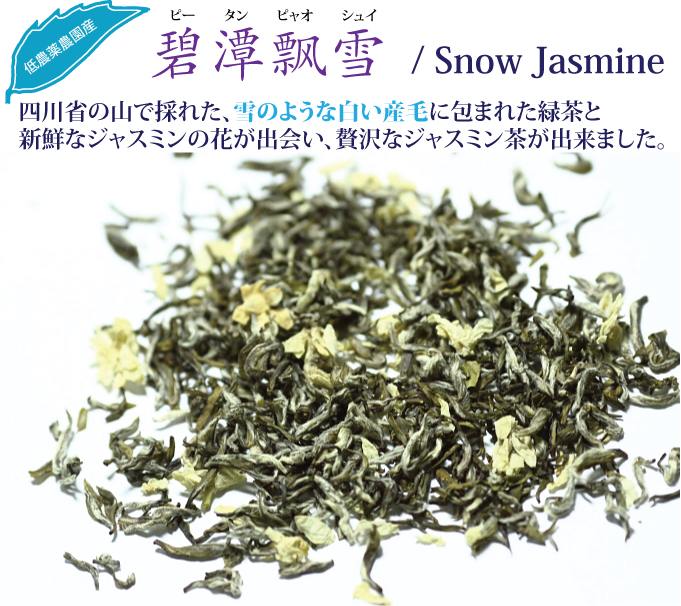 碧潭飄雪(スノージャスミン)