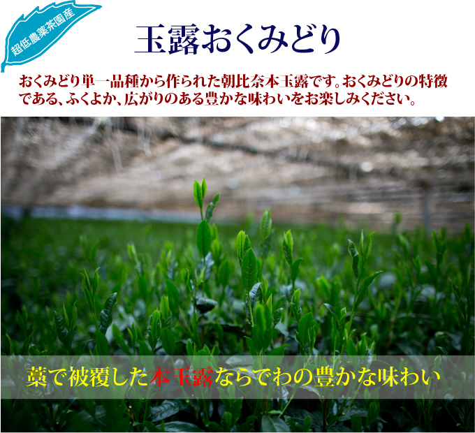 玉露おくみどり