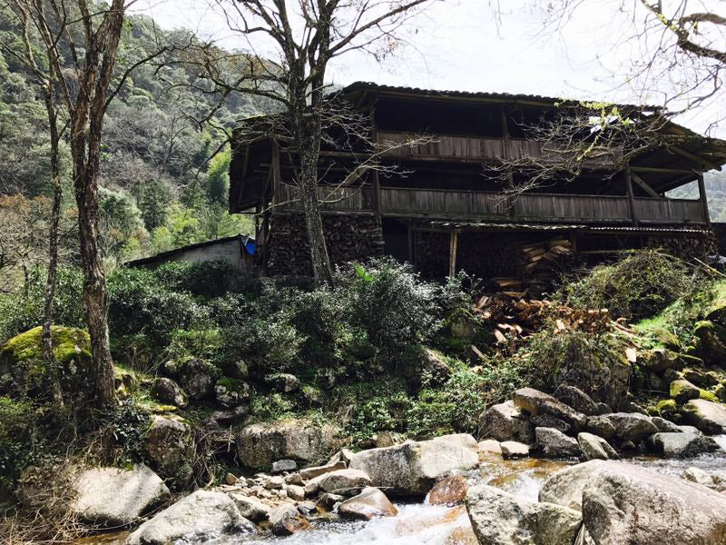 正山小種 傳統式