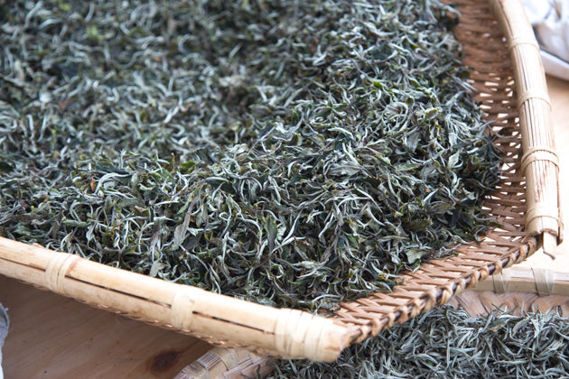 古樹白茶