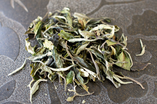 古樹白茶