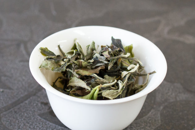 古樹白茶