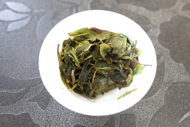 古樹白茶