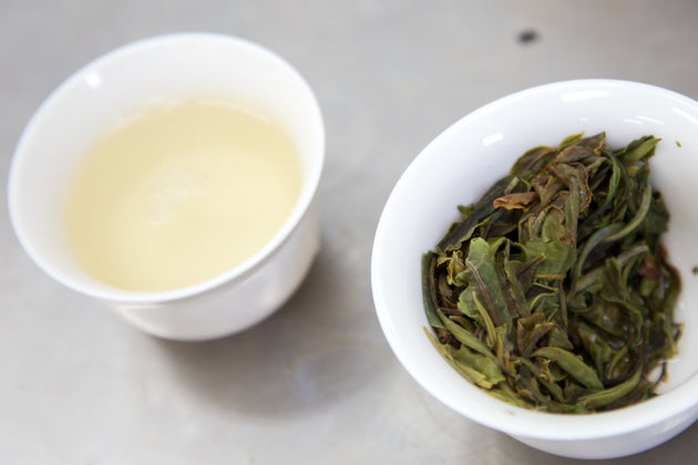 古樹白茶