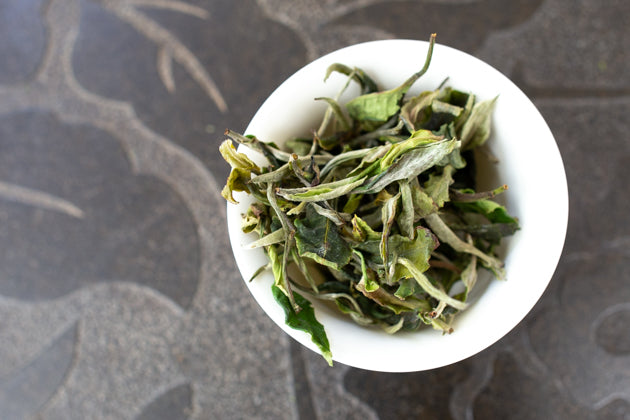 古樹白茶