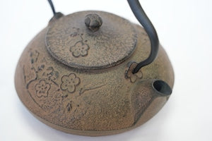 南部鉄器 鉄瓶 しののめ ひさご色 0.5L